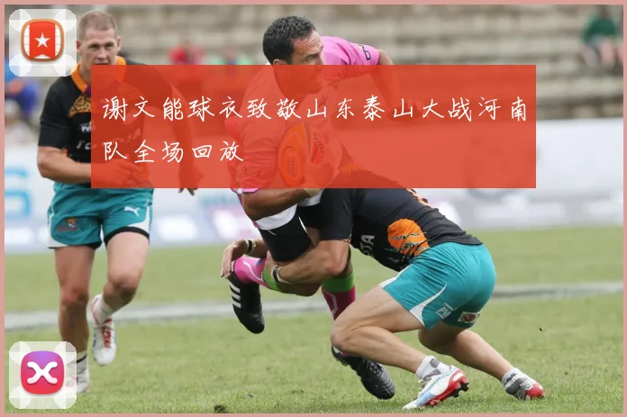 谢文能球衣致敬山东泰山大战河南队全场回放