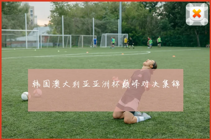 韩国澳大利亚亚洲杯巅峰对决集锦