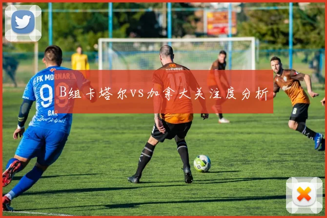 B组卡塔尔vs加拿大关注度分析