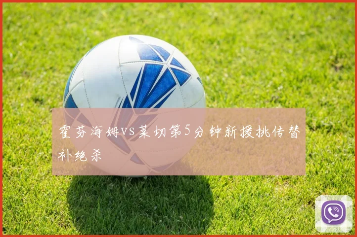 霍芬海姆vs莱切第5分钟新援挑传替补绝杀