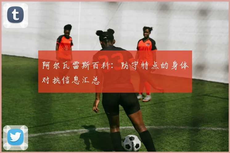 阿尔瓦雷斯百科：防守特点的身体对抗信息汇总