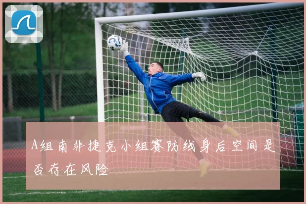 A组南非捷克小组赛防线身后空间是否存在风险