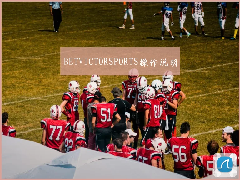 BETVICTORSPORTS操作说明