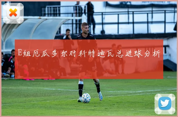 E组厄瓜多尔对科特迪瓦总进球分析