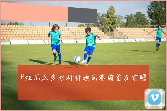 E组厄瓜多尔科特迪瓦赛前首发前瞻