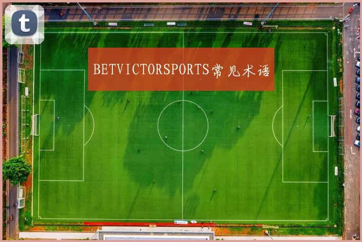 BETVICTORSPORTS常见术语